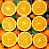 【夏橙-净重9斤中果】新鲜广西桂林夏橙味甜多汁应季水果秭归夏橙