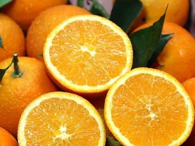 【夏橙-净重9斤中果】新鲜广西桂林夏橙味甜多汁应季水果秭归夏橙图4