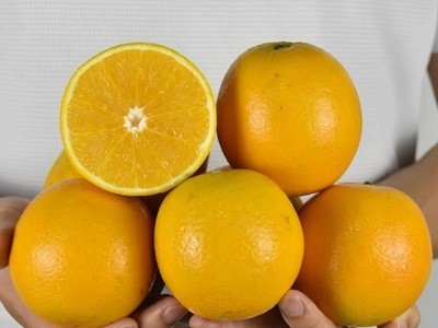 【夏橙-净重9斤中果】新鲜广西桂林夏橙味甜多汁应季水果秭归夏橙图3