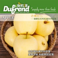 山东烟台苹果黄元帅苹果水果10斤带箱粉面金帅当季新鲜一件代发YQ