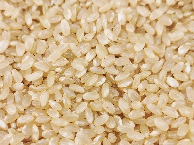 雪稻农夫500g香糙米三色糙打米原料代餐饱腹玄米粗米批发分销代发图2