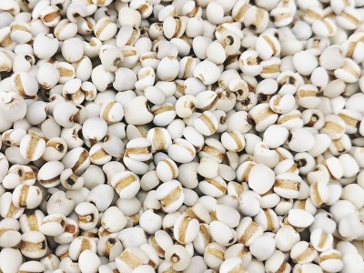 雪稻农夫450g贵州新鲜薏米仁生小薏仁薏苡仁生菩提子批发分销代发图3