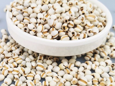 雪稻农夫450g贵州新鲜薏米仁生小薏仁薏苡仁生菩提子批发分销代发图2