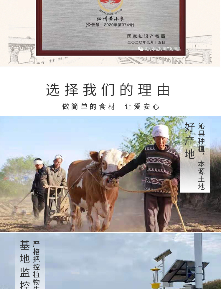详情1_05