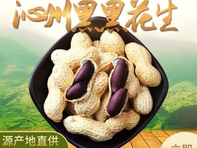 现货供应沁州黑黑花生五谷豆浆原料办公室休闲零食小吃图5