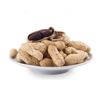 现货供应沁州黑黑花生五谷豆浆原料办公室休闲零食小吃