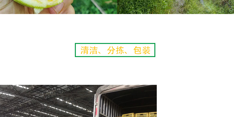 详情图_06.jpg