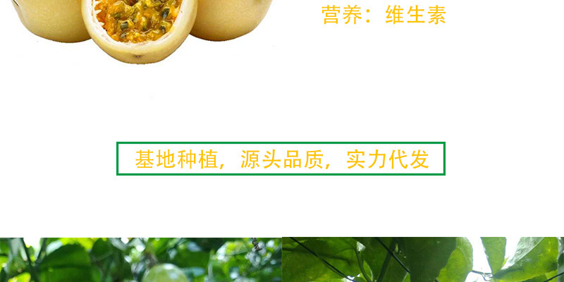 详情图_04.jpg