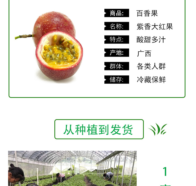 详情页_02.jpg