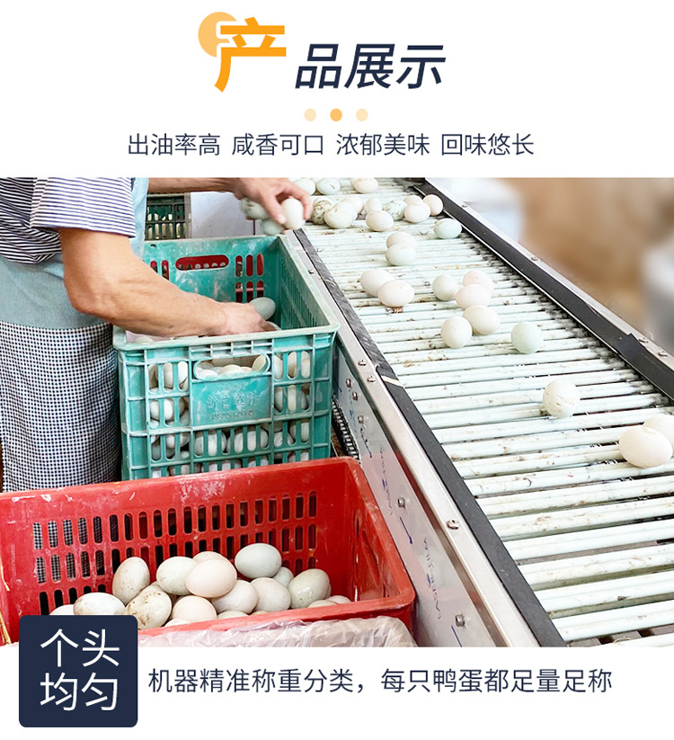 详情6.jpg