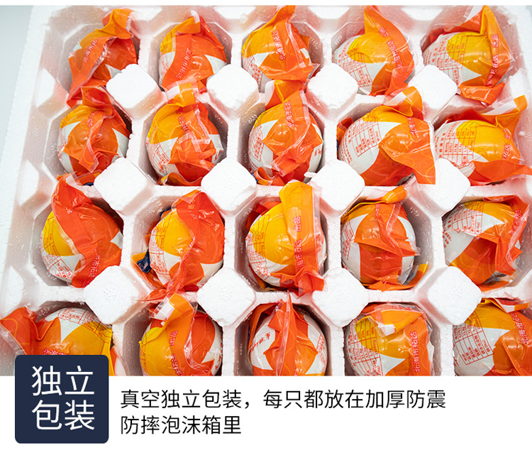 详情9.jpg