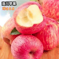 全年供应陕西洛川红富士苹果新鲜脆甜孕妇水果 5斤10斤整箱批发