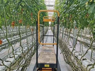 智能玻璃温室电自动升降轨道作业采摘车立体栽培大棚种植蔬菜果园图3