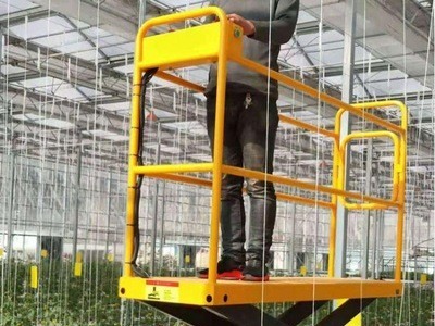 智能玻璃温室电自动升降轨道作业采摘车立体栽培大棚种植蔬菜果园图5