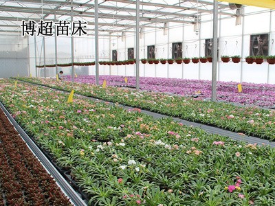 潮汐苗床 温室大棚栽培床热镀锌材质食品级ABS面板潮汐式移动苗床图5