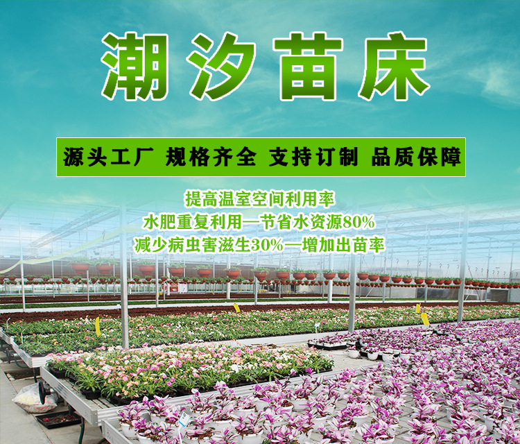 潮汐式移动苗床（河北博超）_01.jpg