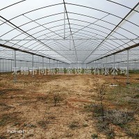 养殖温室 薄膜温室 温室大棚 连栋温室