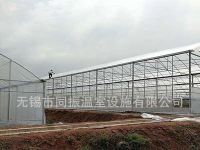 养殖温室 薄膜温室 温室大棚 连栋温室图5