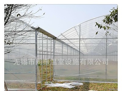 养殖温室 薄膜温室 温室大棚 连栋温室图4