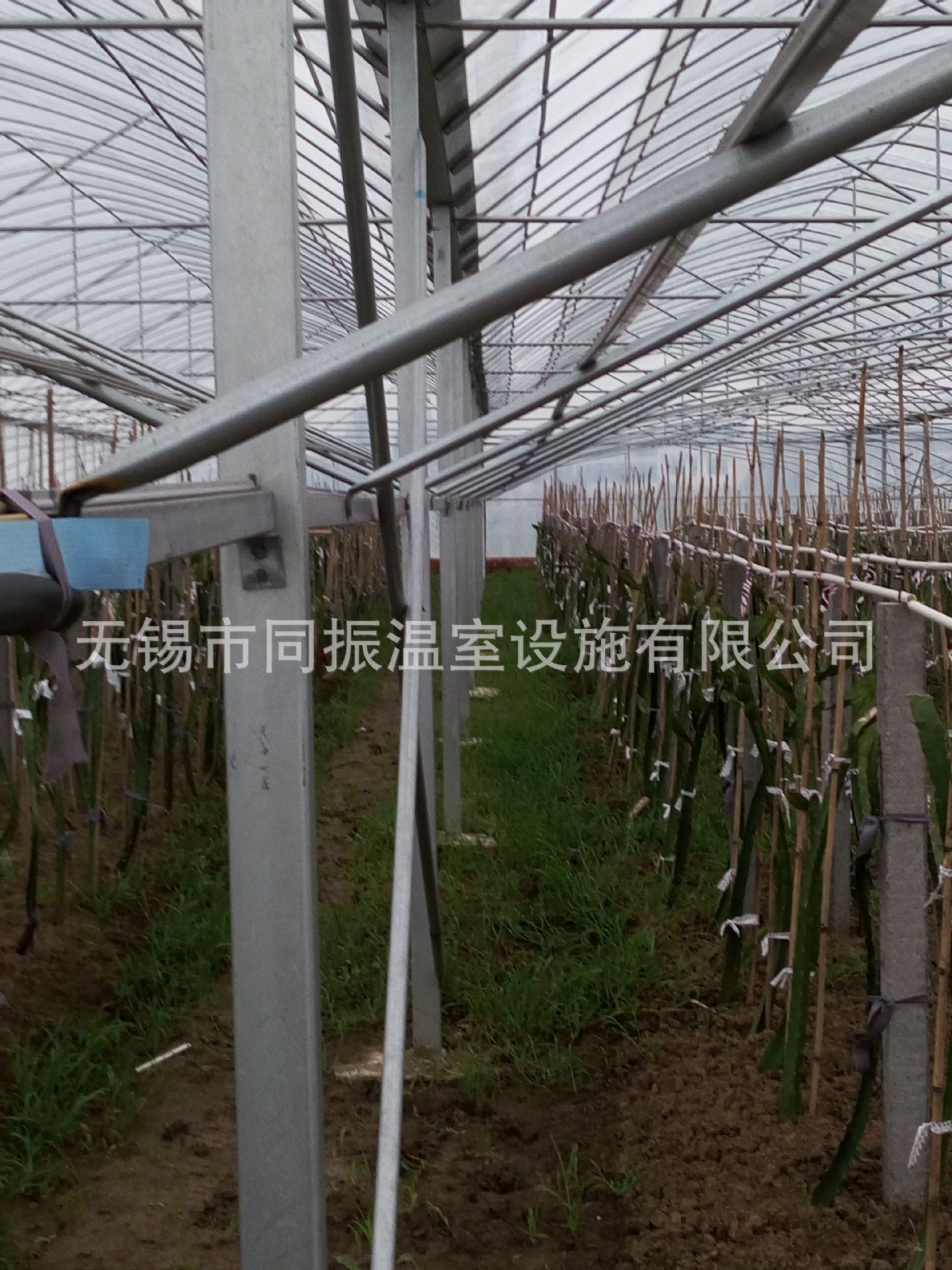 QQ图片20150624093958
