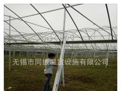 优质供应 连栋大棚 温室大棚 物美价廉 设计安装图3