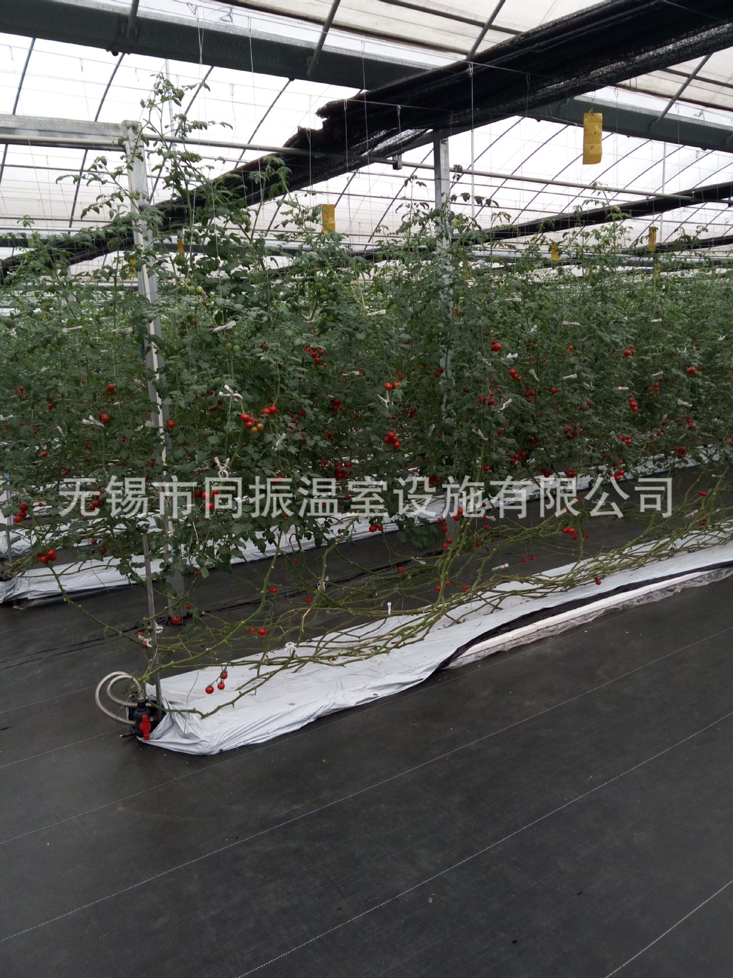 QQ图片20150623100558