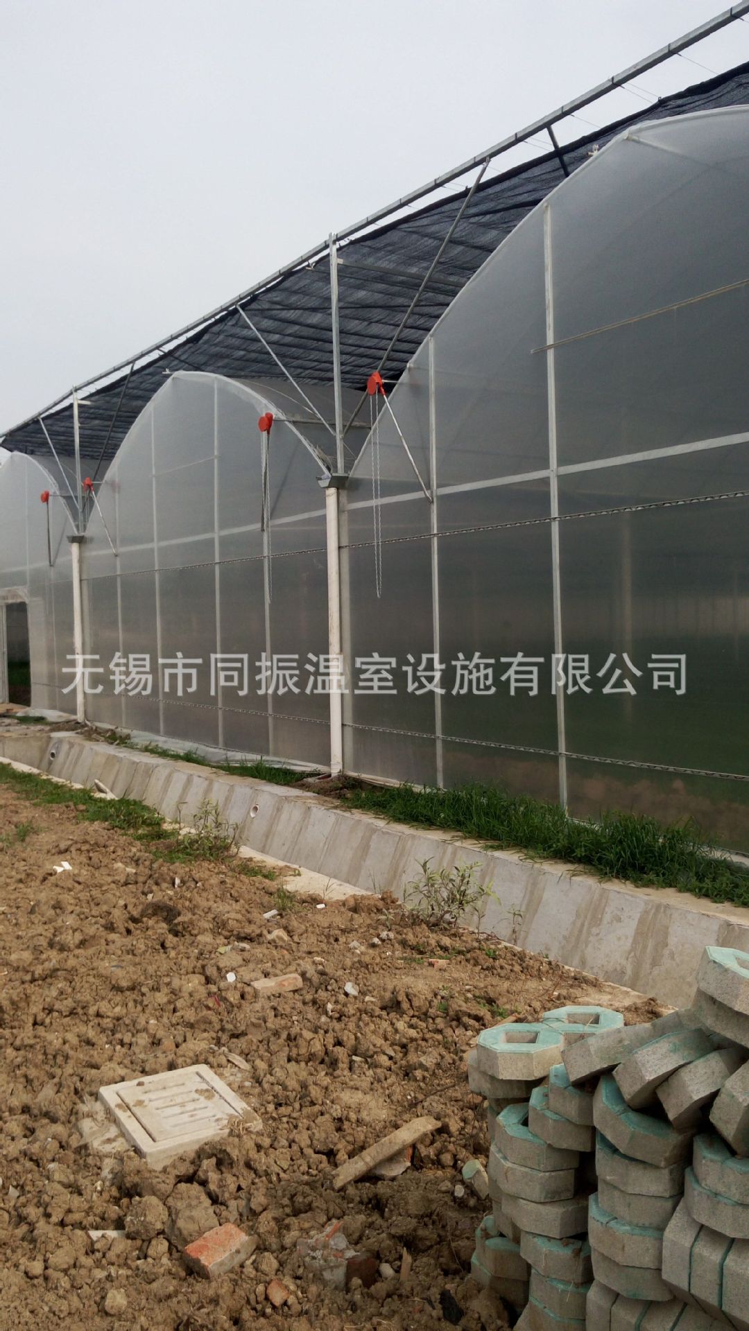 QQ图片20150819073330