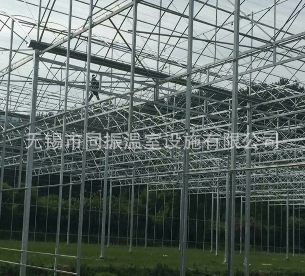 mmexport1465893248375_副本