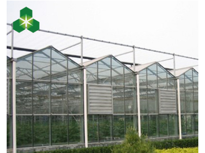 厂家定制蔬菜大棚 连栋种植钢结构温室连栋大棚 玻璃温室养殖大棚图2