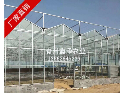 厂家定制蔬菜大棚 连栋种植钢结构温室连栋大棚 玻璃温室养殖大棚图4