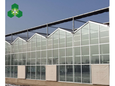厂家定制蔬菜大棚 连栋种植钢结构温室连栋大棚 玻璃温室养殖大棚图3