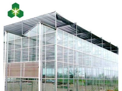 新型温室大棚 玻璃大棚 智能温室大棚厂家建设图4