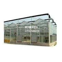 新型温室大棚 玻璃大棚 智能温室大棚厂家建设