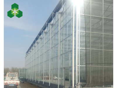 新型温室大棚 玻璃大棚 智能温室大棚厂家建设图2