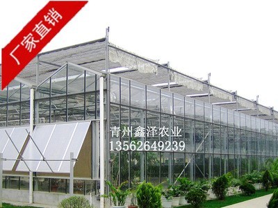新型温室大棚 玻璃大棚 智能温室大棚厂家建设图3