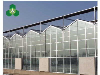 新型温室大棚 玻璃大棚 智能温室大棚厂家建设图5