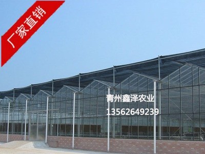热镀锌玻璃温室 玻璃温室大棚 玻璃温室报价 玻璃温室厂家图4