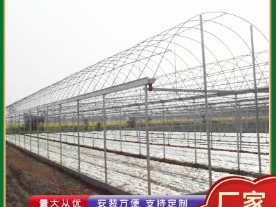 新型果蔬连体大棚葡萄大棚 镀锌钢管农业大棚 种植养殖连体大棚图5
