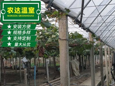新型果蔬连体大棚葡萄大棚 镀锌钢管农业大棚 种植养殖连体大棚图3