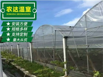 新型果蔬连体大棚葡萄大棚 镀锌钢管农业大棚 种植养殖连体大棚图4