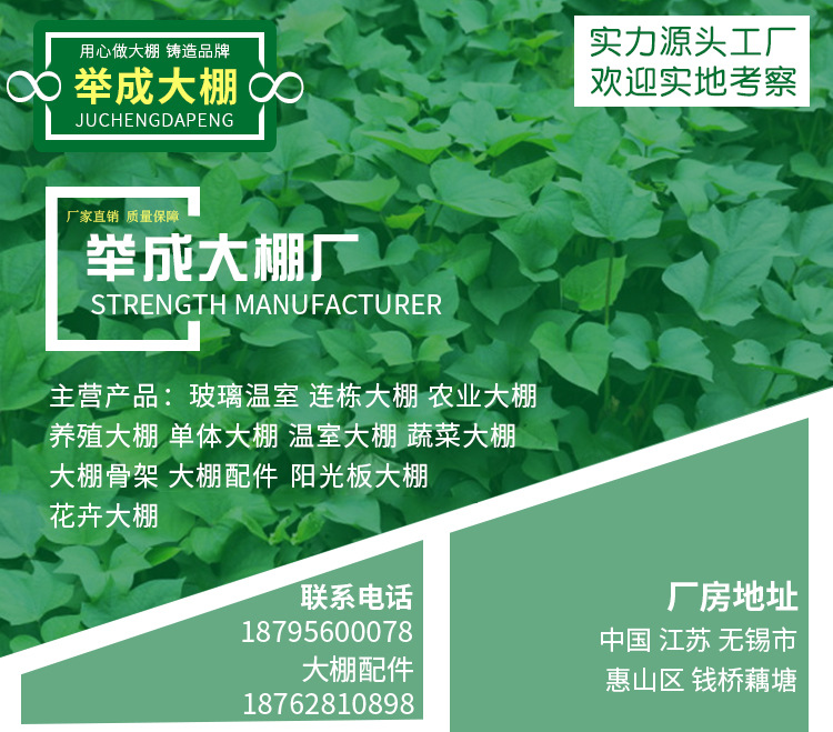 详情_01.jpg