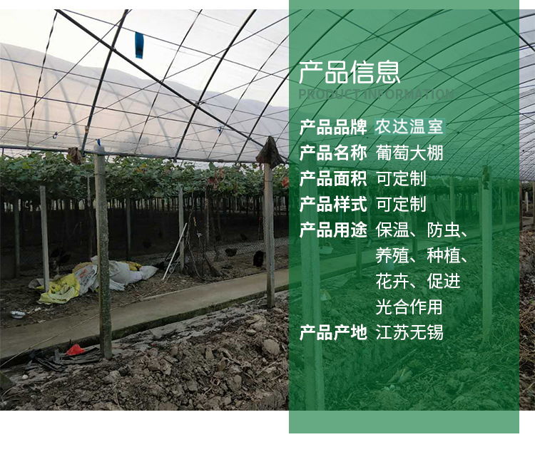 详情_02.jpg