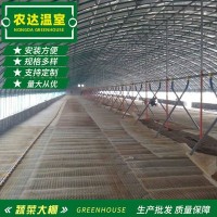 新型畜牧养殖大棚 连栋养殖温室大棚架 养殖大棚养鸡大棚加工定制