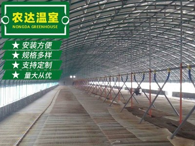 新型畜牧养殖大棚 连栋养殖温室大棚架 养殖大棚养鸡大棚加工定制图3