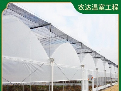 新型畜牧养殖大棚 连栋养殖温室大棚架 养殖大棚养鸡大棚加工定制图5
