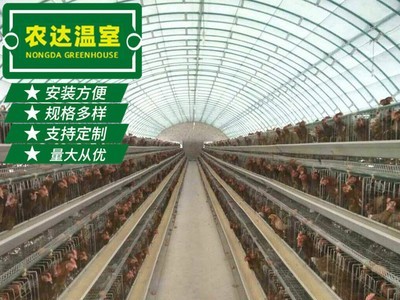 新型畜牧养殖大棚 连栋养殖温室大棚架 养殖大棚养鸡大棚加工定制图4