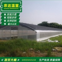 现货新型单体大棚 无土栽培日光单体大棚 农用智能单体大棚定制
