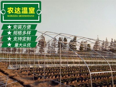 现货新型单体大棚 无土栽培日光单体大棚 农用智能单体大棚定制图4