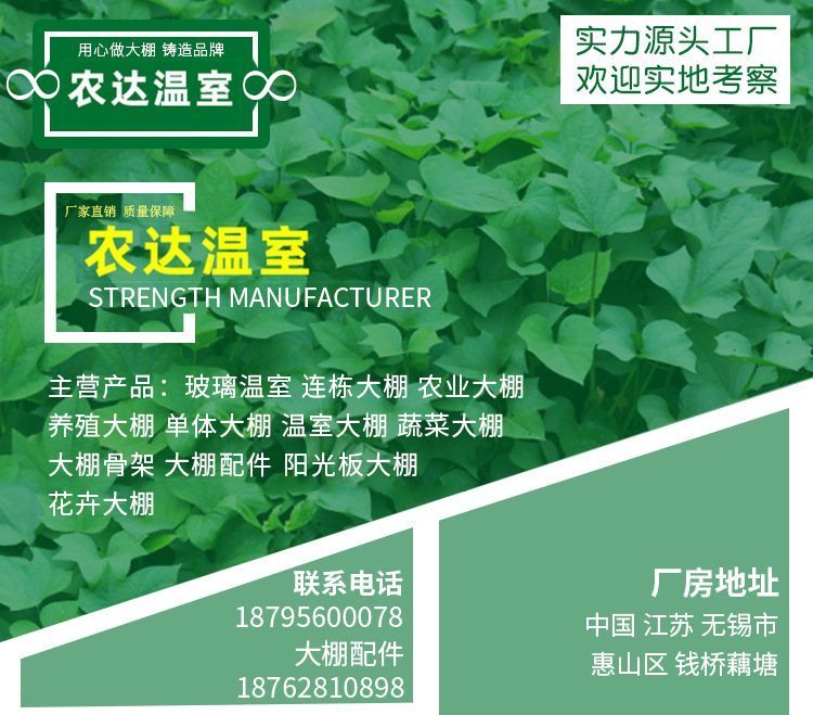 详情_01.jpg