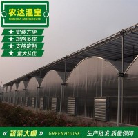 温室连栋大棚锯齿型 遮阳连体大棚塑料薄膜 简易农用蔬菜连栋大棚